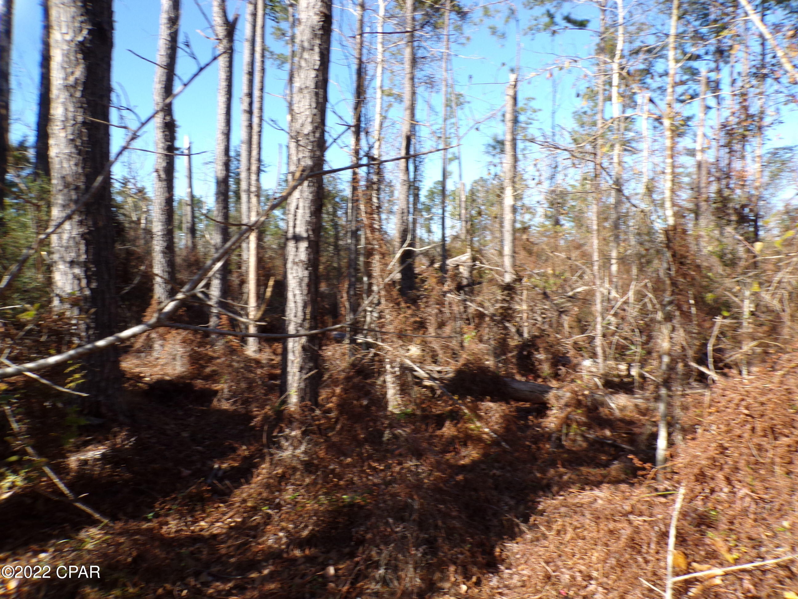 No Named Subdivision - Land