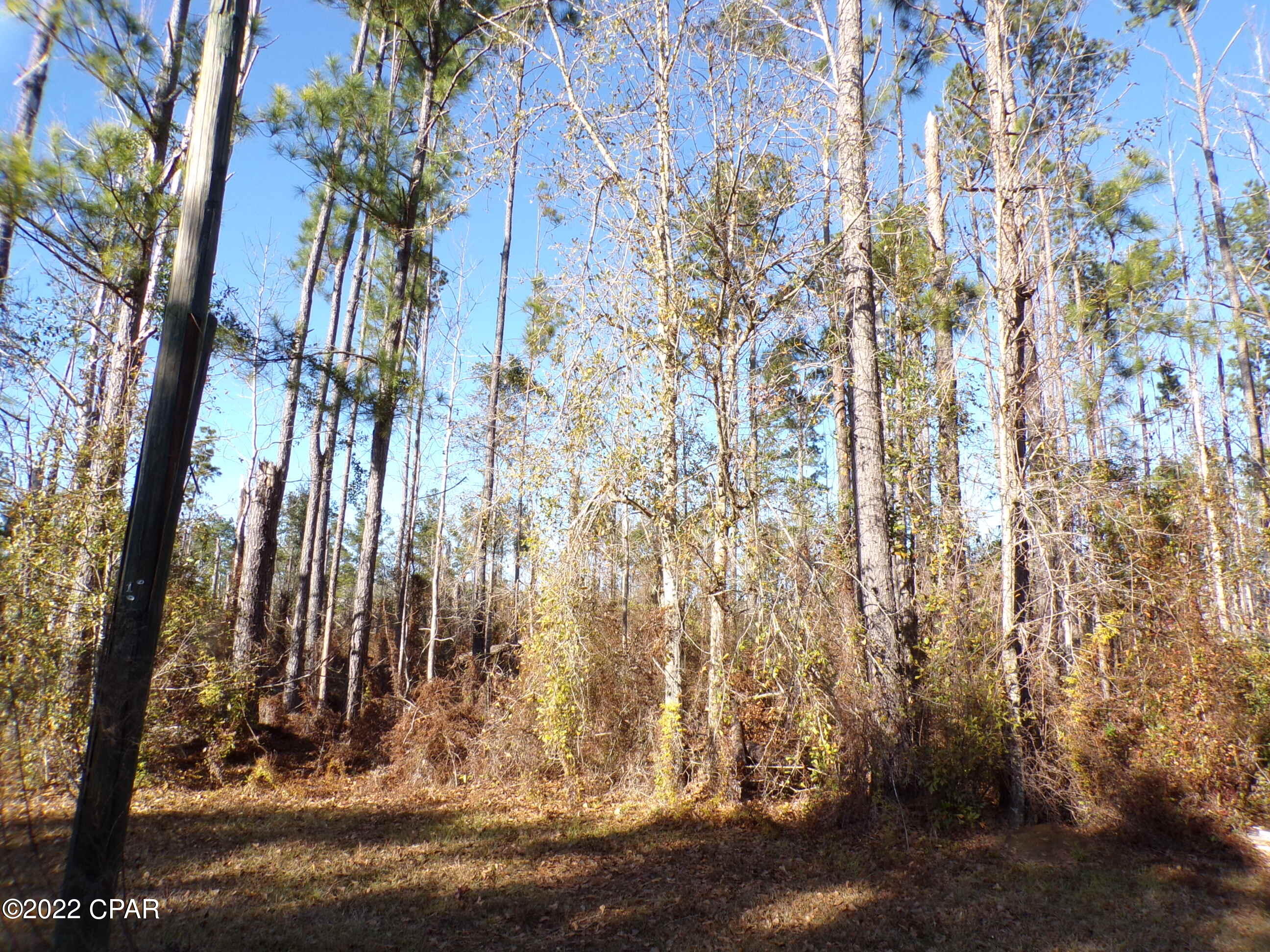 No Named Subdivision - Land