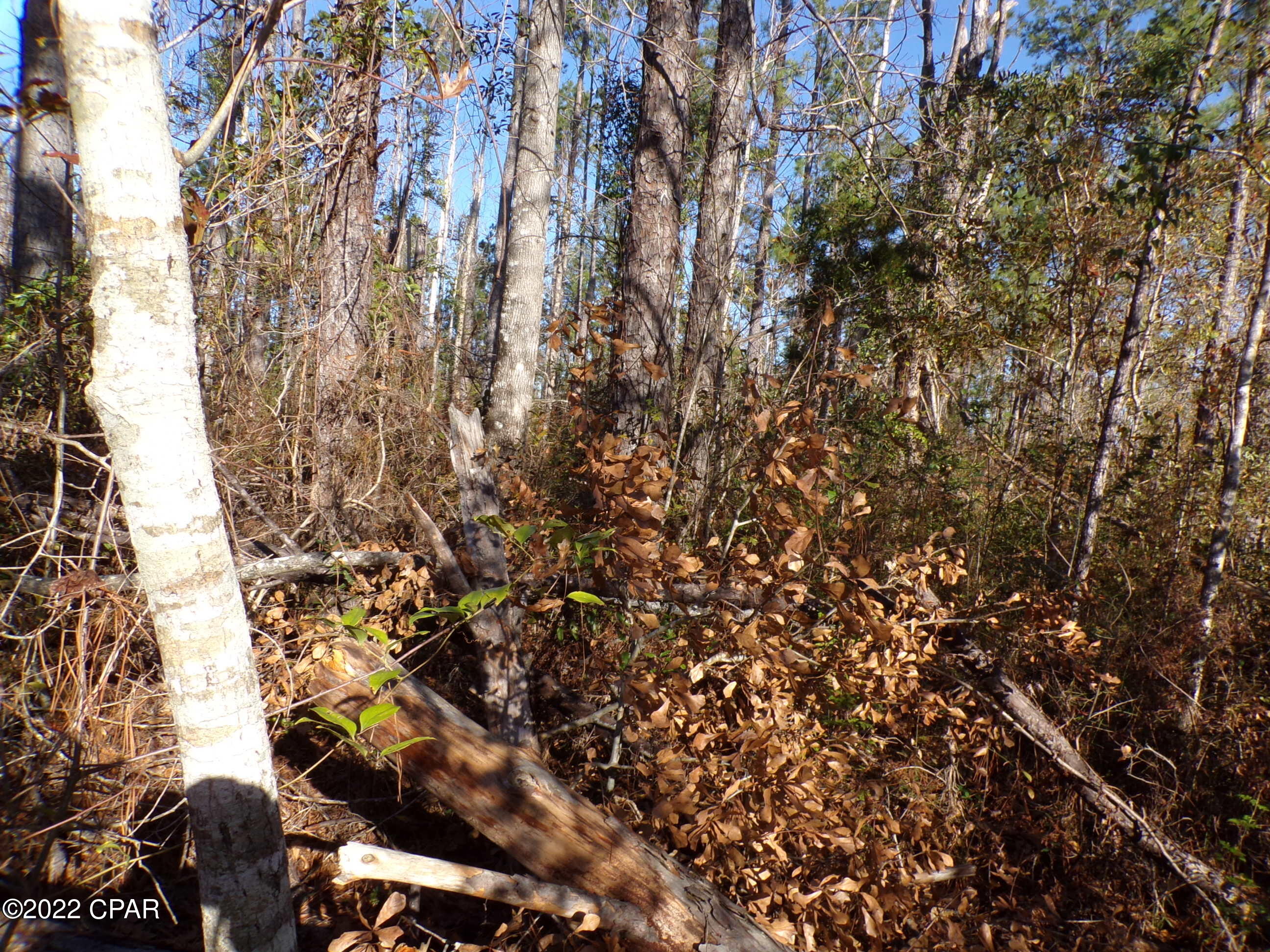 No Named Subdivision - Land