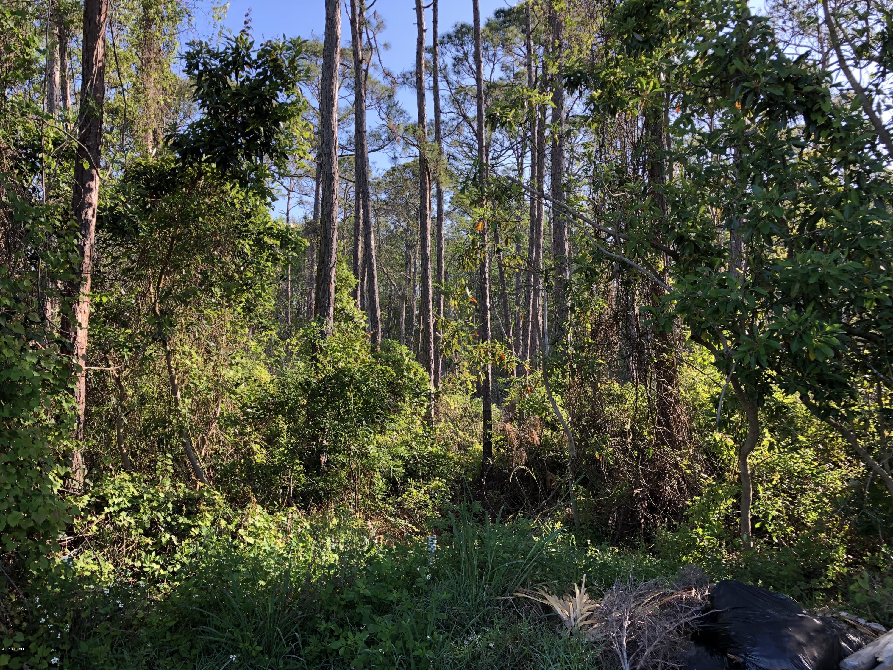 Emerald Lake Estates - Land