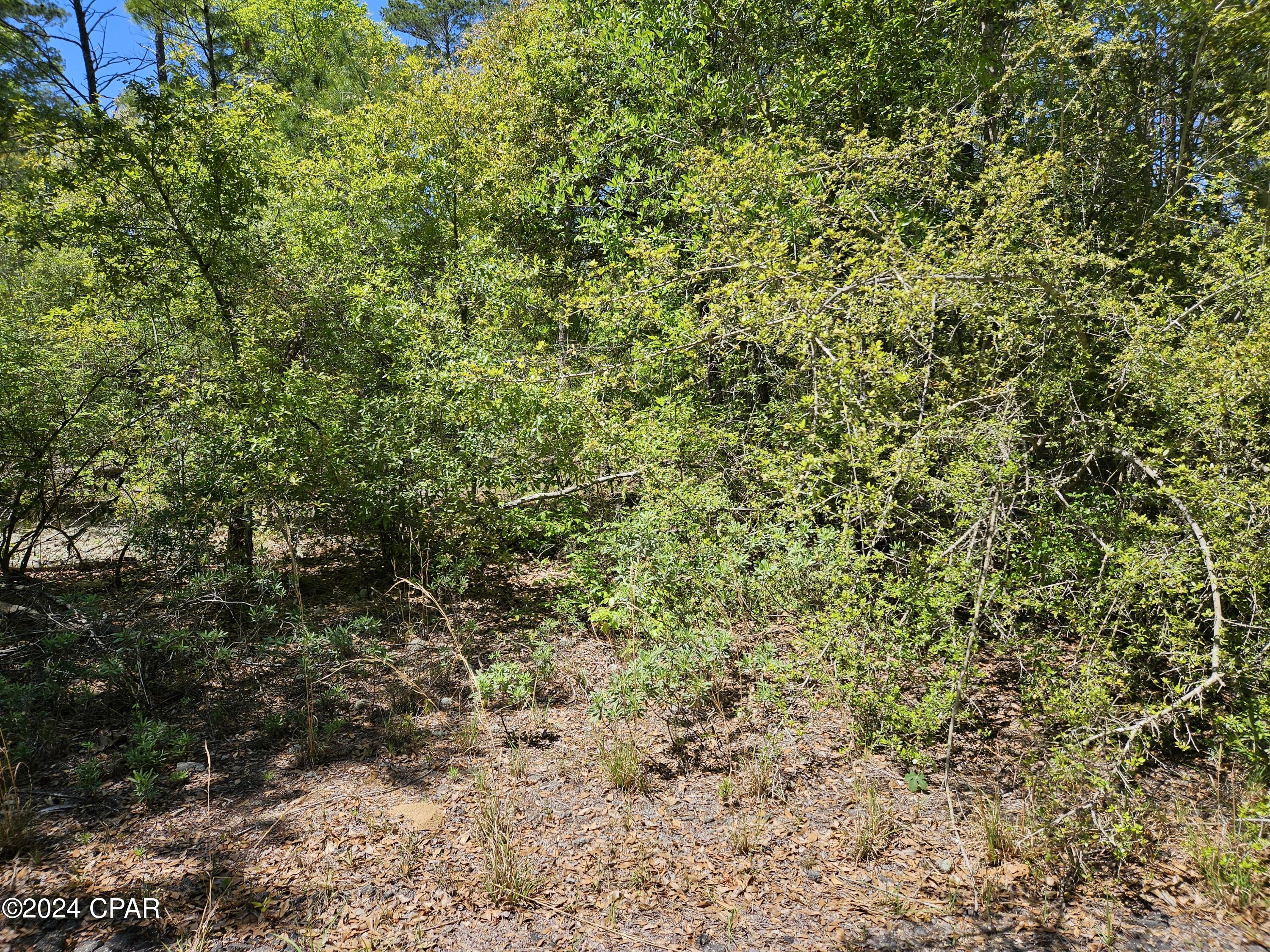 Leisure Lakes - Land