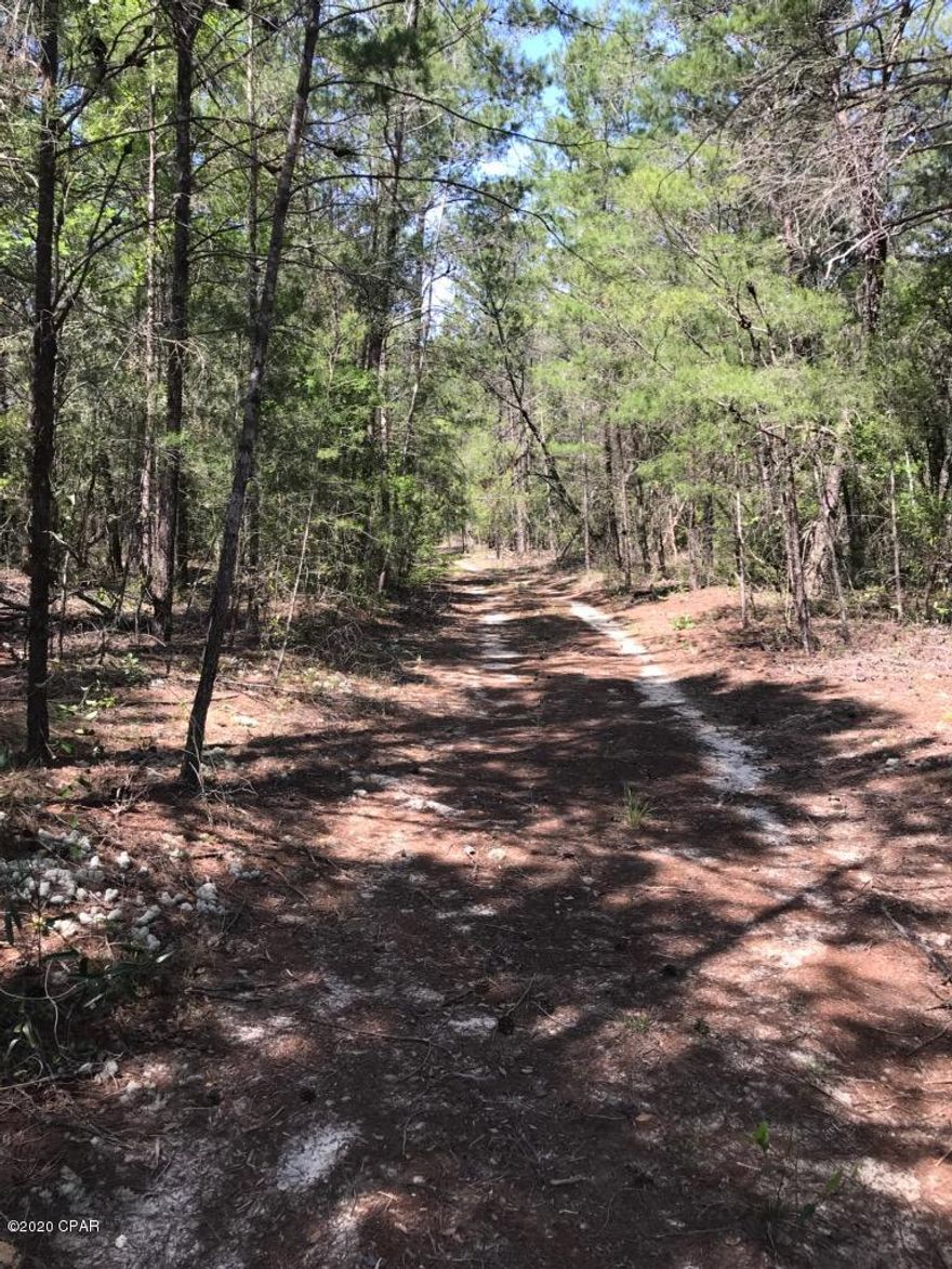 Wow! Beautiful 15+ acres perfect for your home or Ranch!  Adjacent 11 acres available too! Both have nice trees high and dry just feet off a paved road. Private, so get out of town and Come Home to the Country!