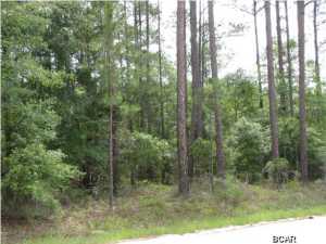 Compass Lake In The Hills - Land