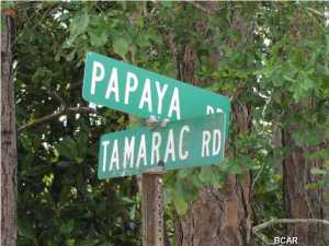 Compass Lake In The Hills - Land