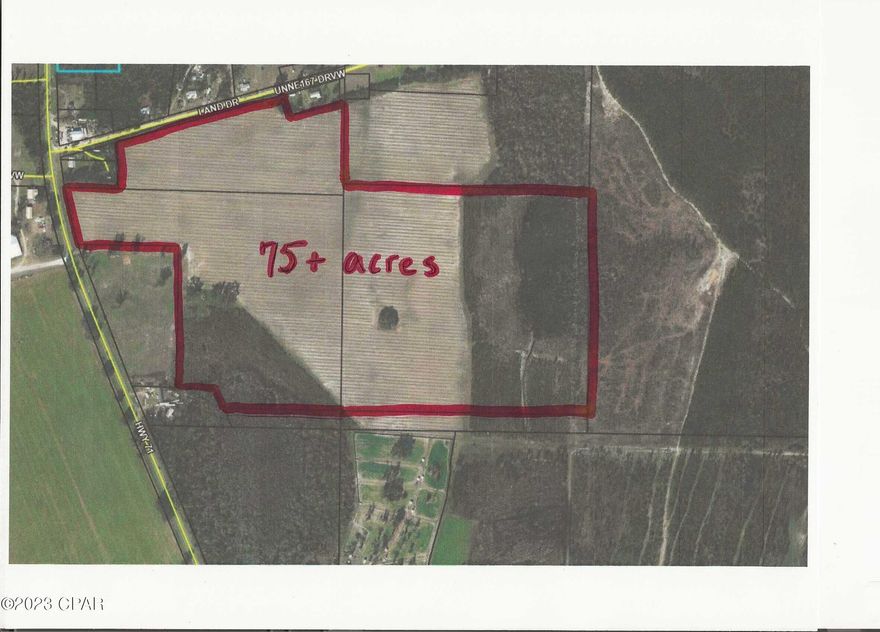 VERSATILE 75 Acres of Potential Profit ! Already cleared and a Blank Slate for a savvy developer or an innovative homeowner. YOU get to make ALL the decisions on this Valuable Property. Zoned Mixed Use, this 75 acres comes with a Conceptual Layout of 166 Residential Lots (included in the pics and document section of this listing). Northwest Florida is growing and the need for Housing makes this a Win Win for everyone. Location is also a win with Interstate 10 only 2 miles down the road and Panama City FL, Tallahassee Fl and Dothan Ala less then an hour away. This transaction makes sense. This 75 acres could also have Commercial possibilities with the right due diligence. Property has approx 308 feet of Road Frontage on Highway 71 and approx 920 Feet of Road Frontage on Land Drive.Call now!