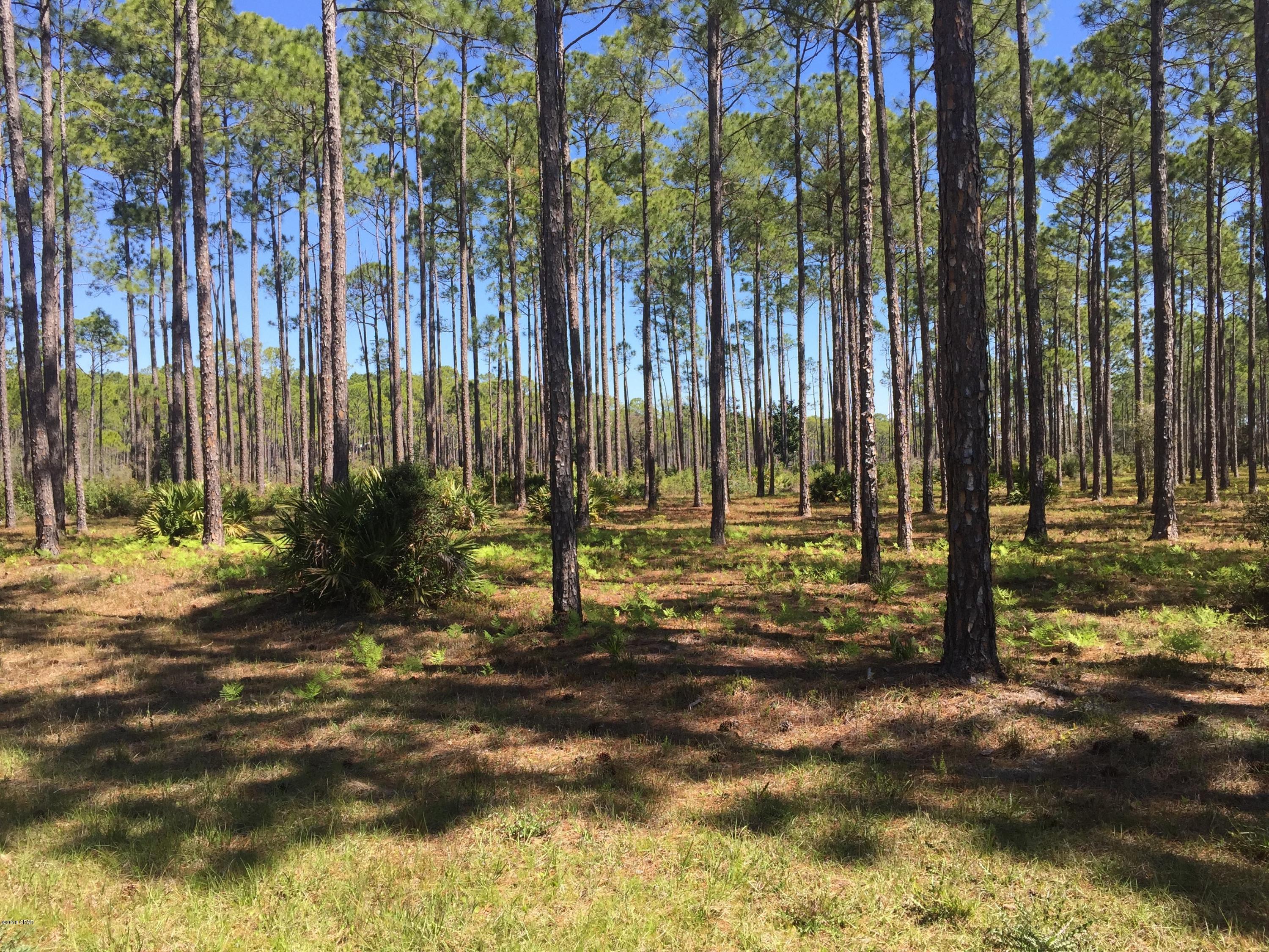 Rivercamps On Crooked Creek Ph 2 - Land