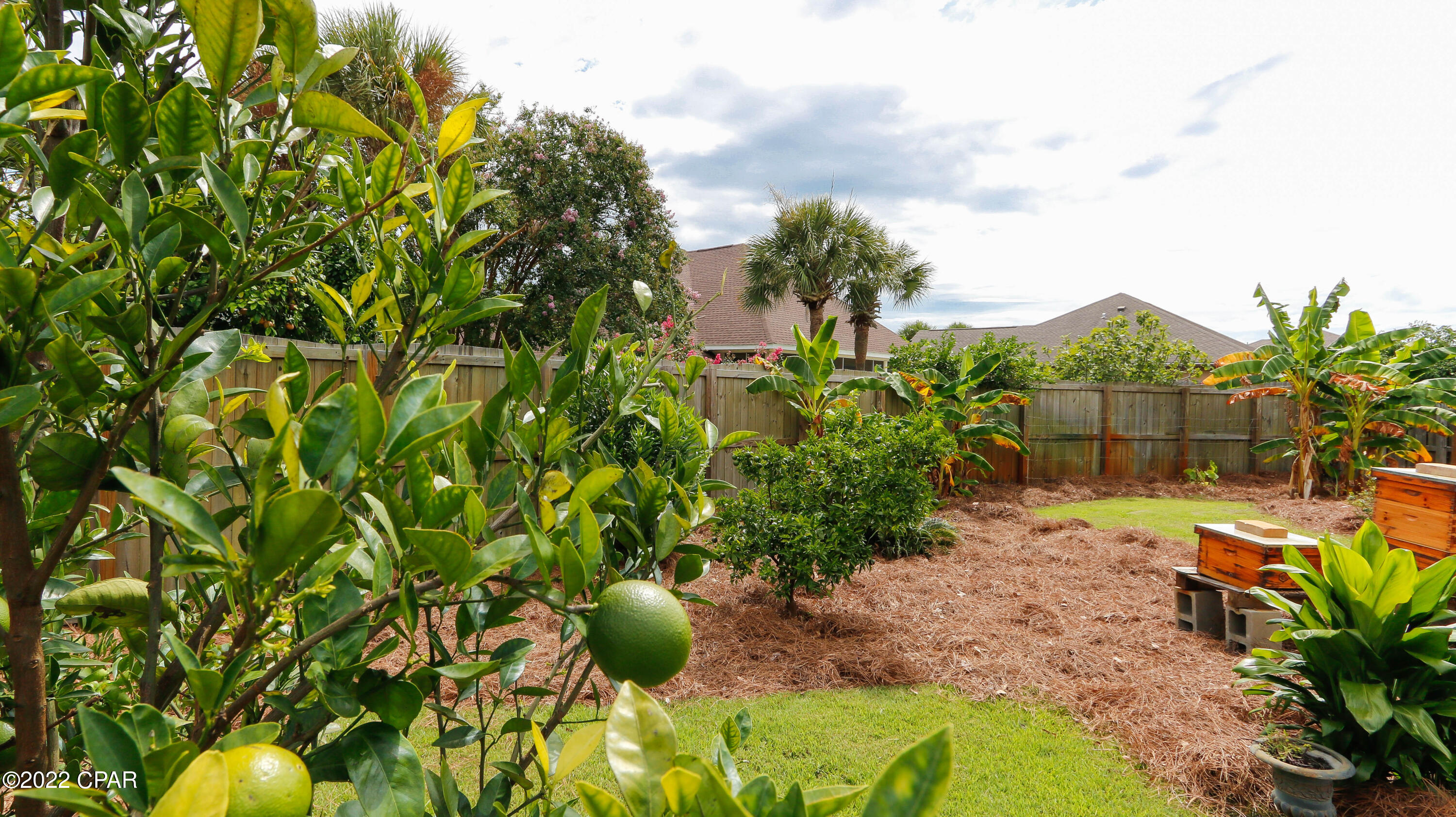 Dolphin Bay Ph II - Residential