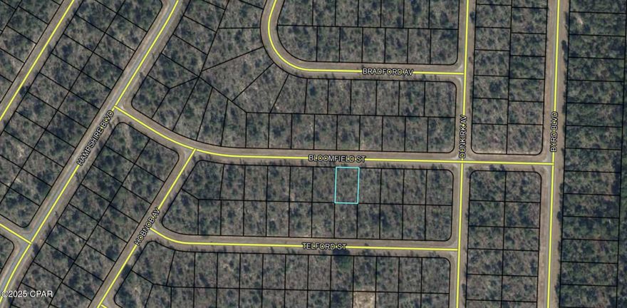 🌲 Bloomfield Rd., Sunny Hills, FL 🌲
Discover the perfect canvas for your future home or getaway retreat with this serene wooded lot nestled in the peaceful community of Sunny Hills. Tucked away on quiet Bloomfield Road, this property offers the ideal blend of natural beauty, privacy, and convenience.

✨ Property Highlights
• Beautifully Wooded Lot - A lush canopy of mature trees provides shade, tranquility, and the freedom to design your dream setting.
• Quiet Residential Area - Enjoy the peaceful surroundings of a growing community without sacrificing access to amenities.
• Proximity to Nature & Recreation - Minutes from Sunny Hills' lakes, parks, and outdoor activities.
• Future Growth Potential - A wonderful opportunity in a developing area of Florida's Panhandle.
• Easy Access - Conveniently located near HWY 77, offering a smooth drive to Panama City, shopping, dining, and the Gulf Coast.

Whether you're envisioning a forever home, a vacation escape, or a long-term investment, this Bloomfield Rd. lot delivers the space, serenity, and potential you've been searching for.

📩 Message me for details or to schedule a walk-through of the property!