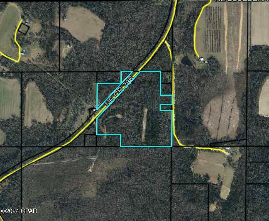 The sweet joy of country living on your very own 31.5 acres. It's perfect for the outdoorsman/woman. Bring your four wheelers, side by sides or dirt bikes and more. This property is already prepped with deer feeders throughout. There is unlimited potential to what you can do. It is located right off of highway 69 and just south of highway 90. There is also a single family home on site in need of a new owner and TLC. Make it yours today!