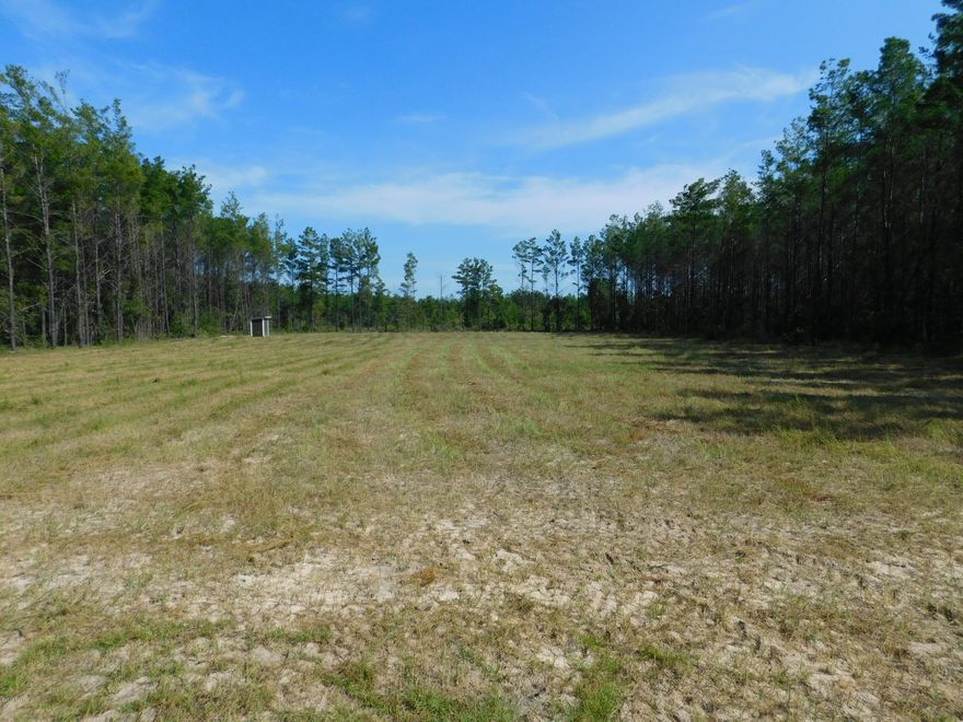 RESIDENTIAL LAND - 1 ACRE - WOODCREST SUBDIVISION. BUILD YOUR DREAM HOME! Bring your building plans!  Located on a paved road in the quiet subdivision of Woodcrest and yet only minutes to Dean Bozeman PreK thru 12th grade school, the International Airport, shopping, medical facilities, and restaurants in Lynn Haven and Panama City AND only minutes to The World's Most Beautiful Beaches.  Neighboring homes are attractive and well maintained.  Property is completely cleared, electric/power supply already on site as well as a 230' deep well with 1 1/2 HP Franklin submersible pump and 86 gallon tank. Drive by for a look see or call your REALTOR today for more info.