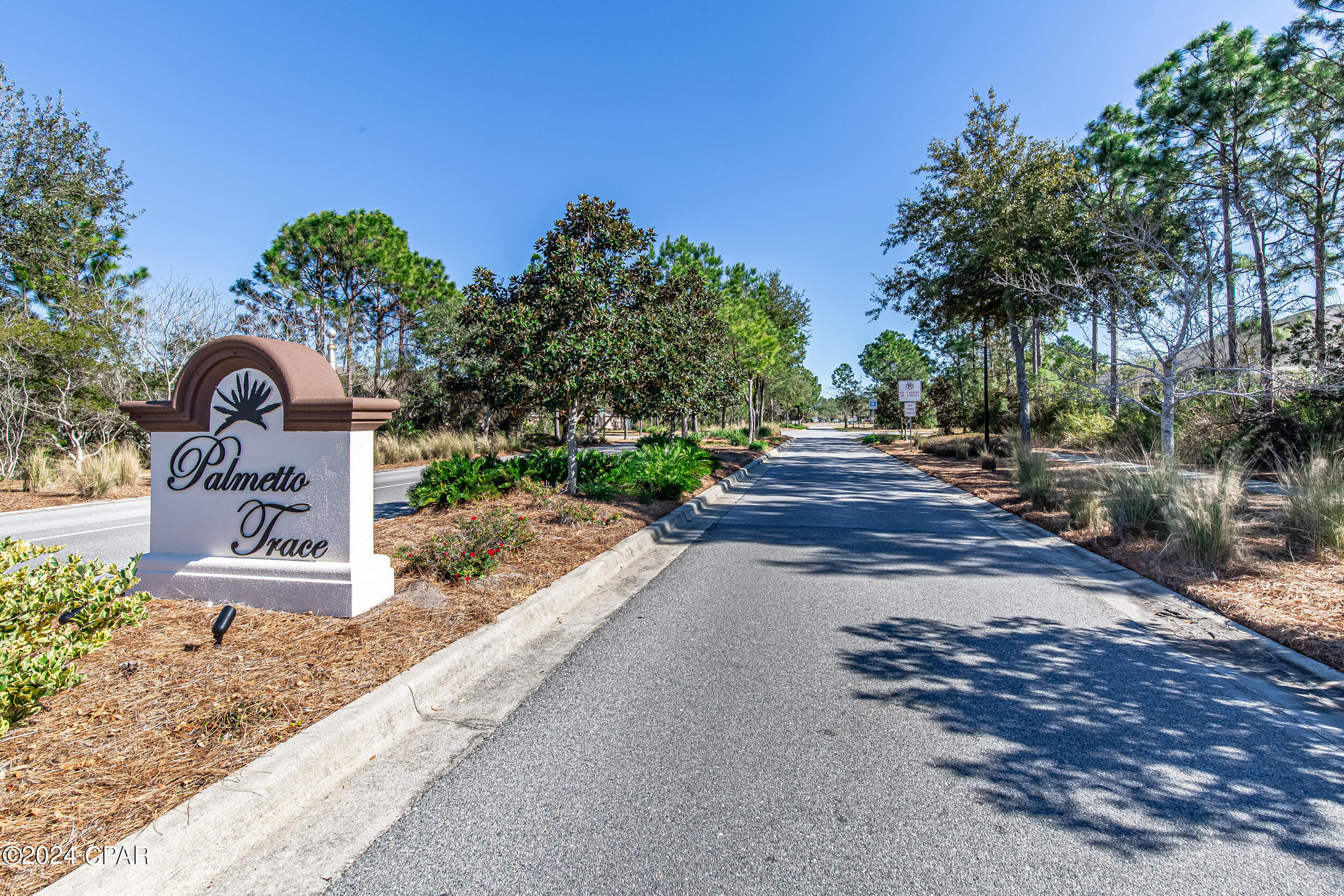 Palmetto Trace - Residential