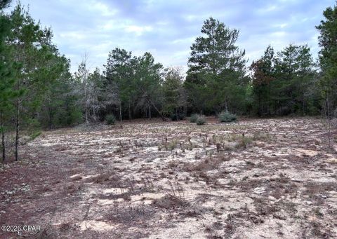 0 Fairhaven Drive Chipley FL 32428