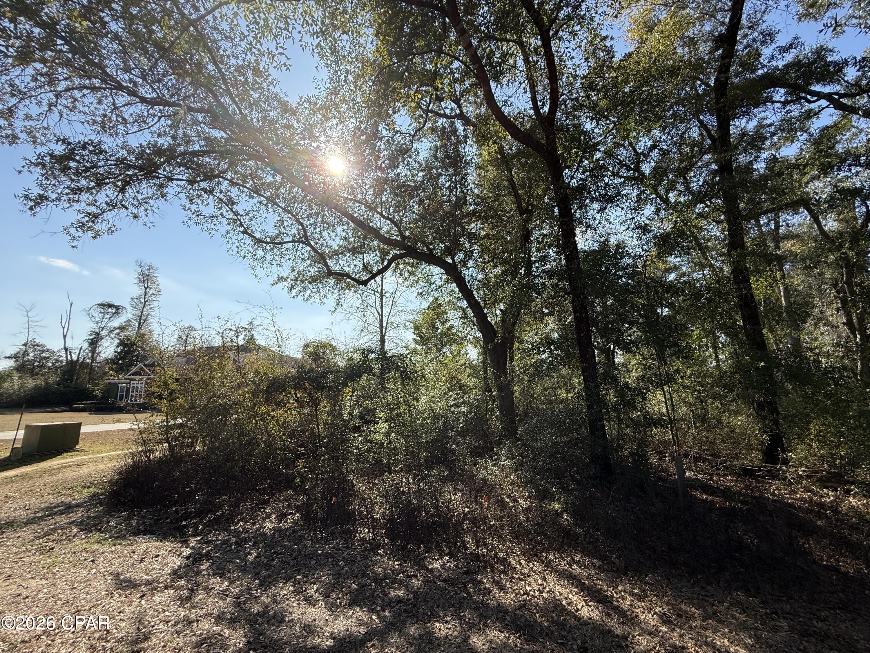 Indian Springs - Land