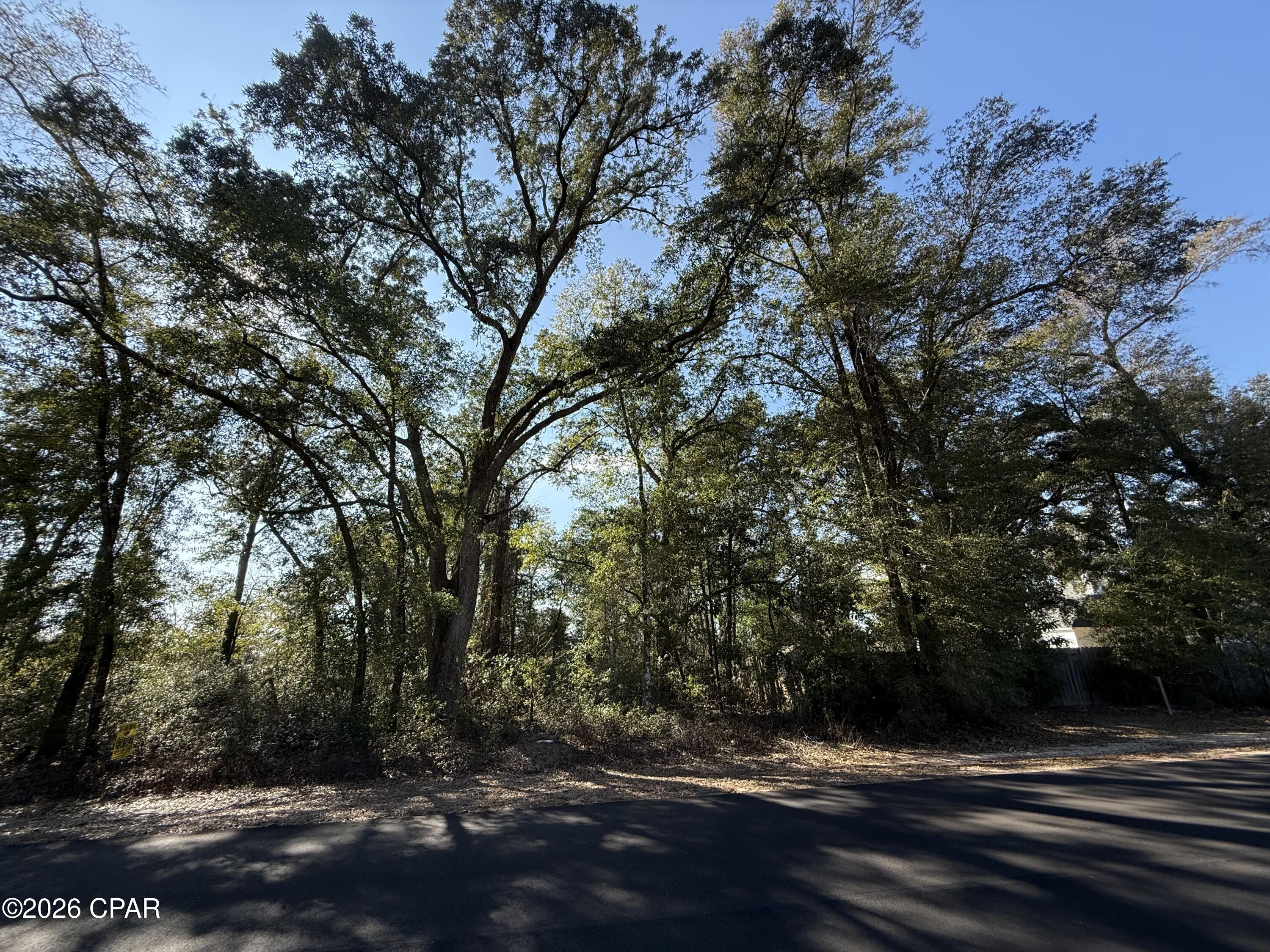 Indian Springs - Land