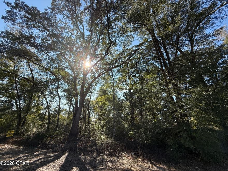 Discover the perfect place to build your dream home on this 0.89 ± acre lot (#1) located in the private and peaceful Indian Springs Golf Club community in Marianna, Florida. Known for its friendly, close-knit atmosphere, Indian Springs is a neighborhood where you can truly slow down, relax, and feel at home, while still staying conveniently close to shopping, dining, and everyday necessities. Recent upgrades to the community include newly paved roads and connection to water/sewer access.
The community features the 18-hole Indian Springs Golf Club, complete with a clubhouse and pro shop, all set among beautiful natural scenery. Whether you're an avid golfer or simply enjoy the serene surroundings, this neighborhood offers a welcoming lifestyle that's hard to find.
One of the most special features of this property is its deeded access to Merritt's Mill Pond. This 202-acre, spring-fed pond boasts crystal-clear water that stays cool year-round and stretches nearly four miles in length. Known as one of the area's premier fishing spots, the pond offers excellent shellcracker fishing along with kayaking, canoeing, and peaceful waterfront enjoyment. Public access is only 3.5 miles away. 
Located in the heart of the Florida Panhandle, Marianna offers small-town charm with easy access to outdoor recreation, natural springs, and scenic waterways. This lot provides a rare opportunity to enjoy golf course living paired with recreational access, all in a quiet, welcoming community.
Whether you're planning a full-time residence, retirement home, or peaceful getaway, this property offers the setting, lifestyle, and location to make it truly special.
Contact us today for more information on this beautiful opportunity in Indian Springs!  (Note: Buyer should verify utilities, property restrictions, and listing details.)

Key Features:

*Deeded access to Merritt's Mill Pond
*Public access to Merritt's Mill Pond is only 3.5 miles from property
*Private and peaceful community living
*18-hole community golf course
*Build now or investment in the future