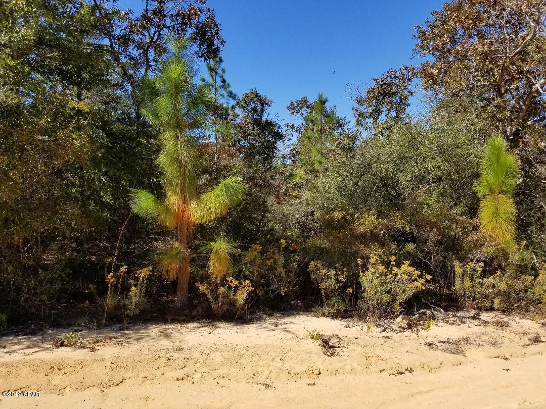 Buckhorn Creek - Land