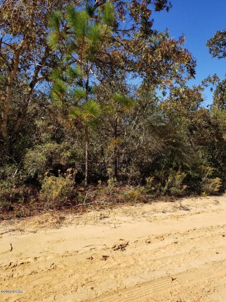 Buckhorn Creek - Land