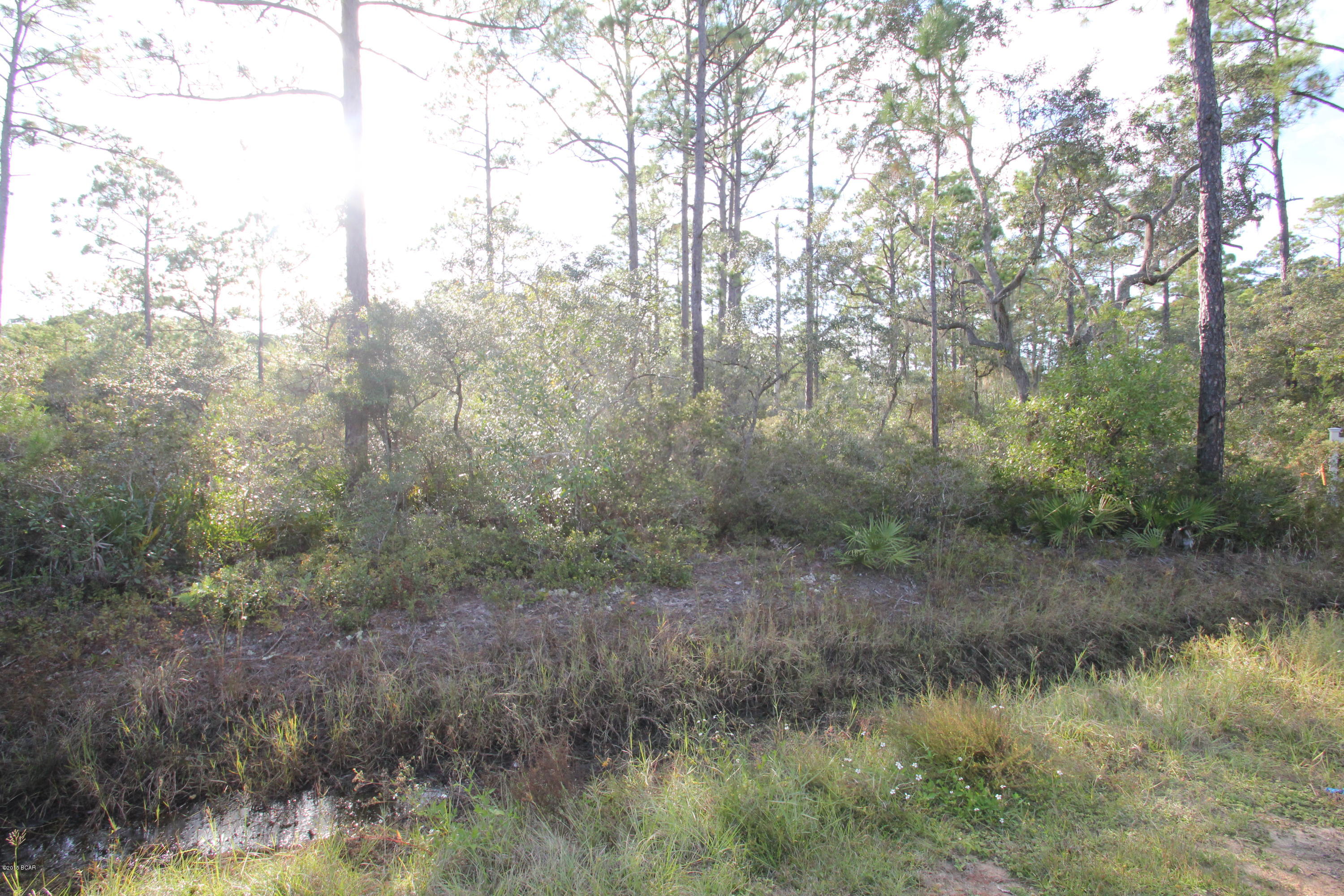 Bayou Creek Estates - Land