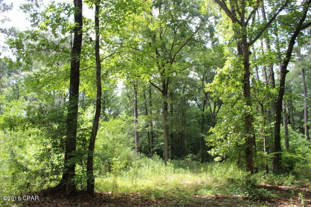 No Named Subdivision - Land