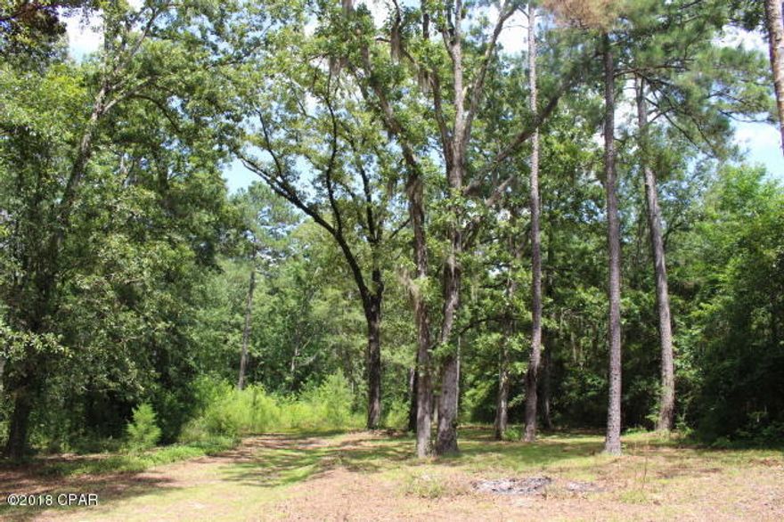 5 Acres MOL mostly wooded with some cleared areas for homesite. Seller may consider selling more acreage. Located on a paved road. Minutes drive to City Limits of Marianna. At one time MH was believed to be set up on this site. Septic tank and under ground utilities not warranted by seller.  Seller also believed at one time connected to shared well.  New owner will need a well. Driveway in place. Close drive to Hwy 90 and to I-10. Property located on the south end of parent parcel and seller will provide a survey with new legal description at closing. There is Low area back of property.