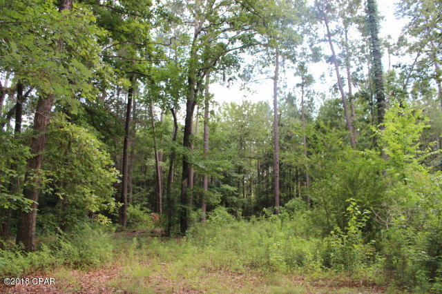 No Named Subdivision - Land