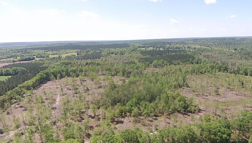 Private, 40 acres not far from Marianna. Property has been partially logged for trees several years ago. This property would make a great hunting spot or a place for a secluded get-away! There is an easement available to reach this property.
