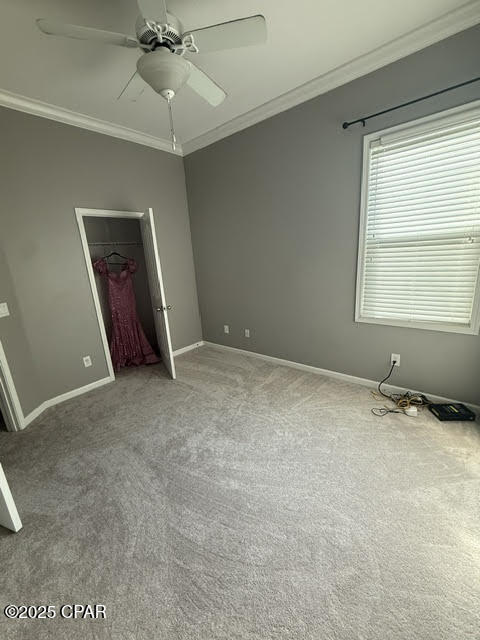 Palmetto Trace Phase IV - Residential