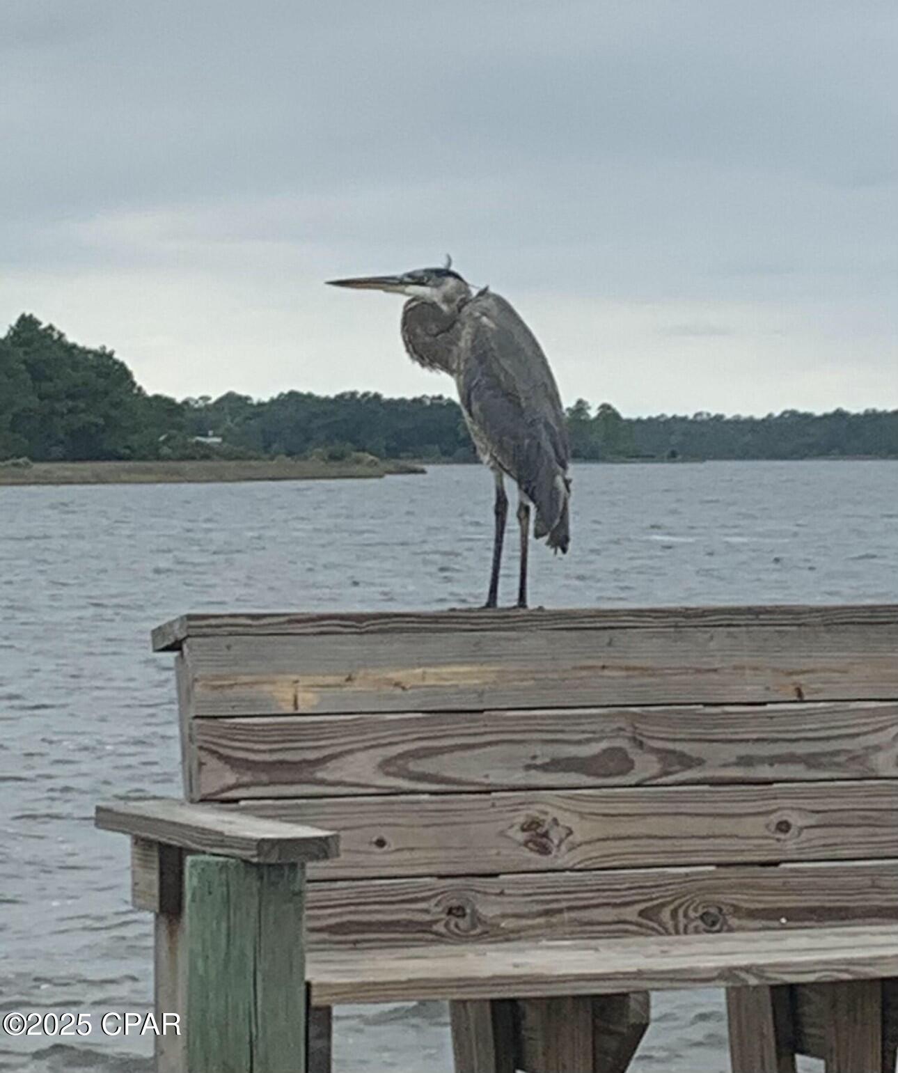 Pirate's Cove Inlet Condo Ph 3 - Residential