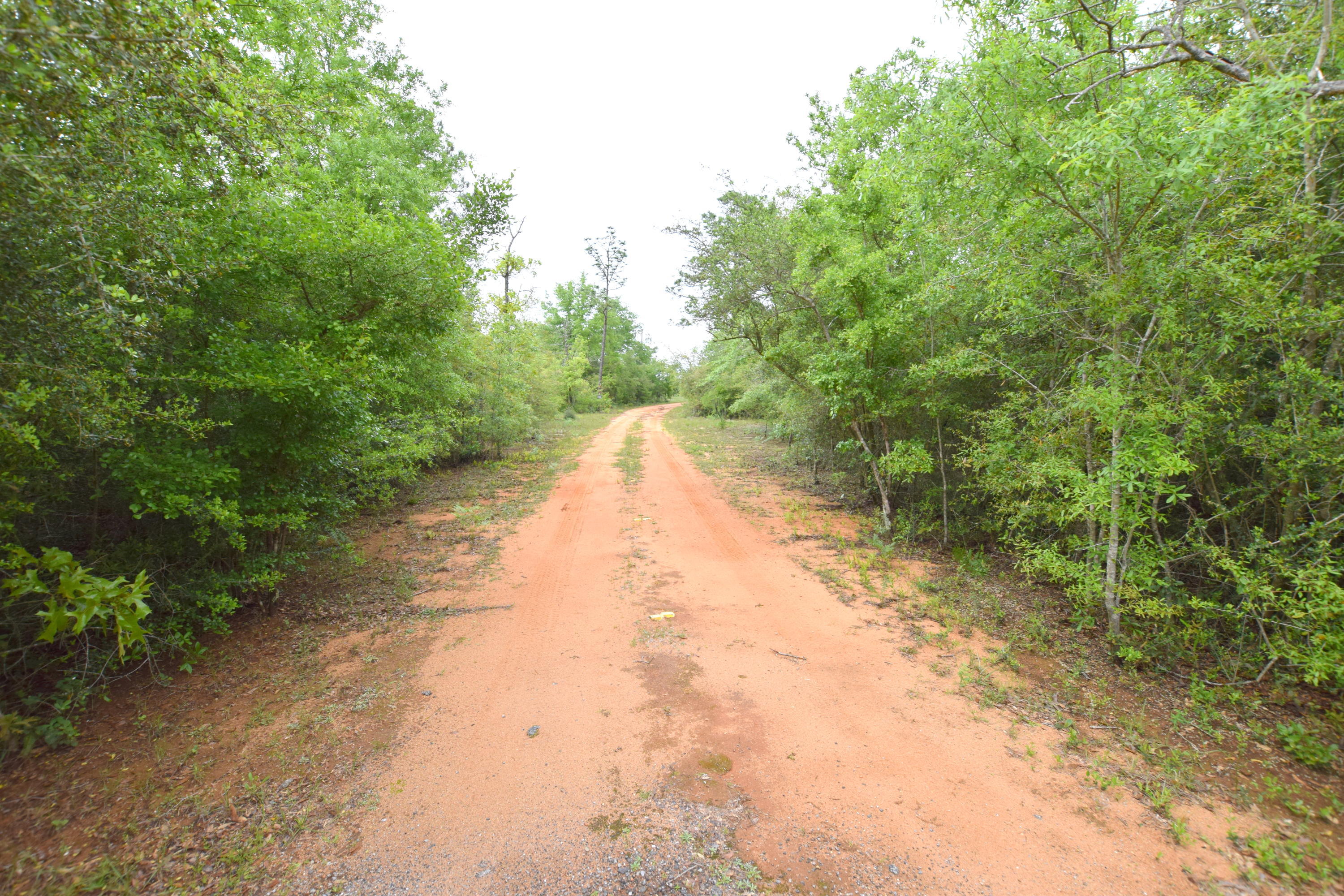 Buckhorn Creek - Residential
