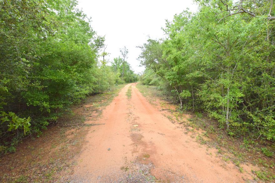 Secluded down a private driveway on more than 4.9 acres sits this 3-bedroom, 2 bath mobile home. Inside features include a split floor plan, open concept, large living room, eat-in kitchen and spacious master suite with walk-in closet, soaking tub, and separate shower. Property Is located off a paved road just off Orange Hill Highway.