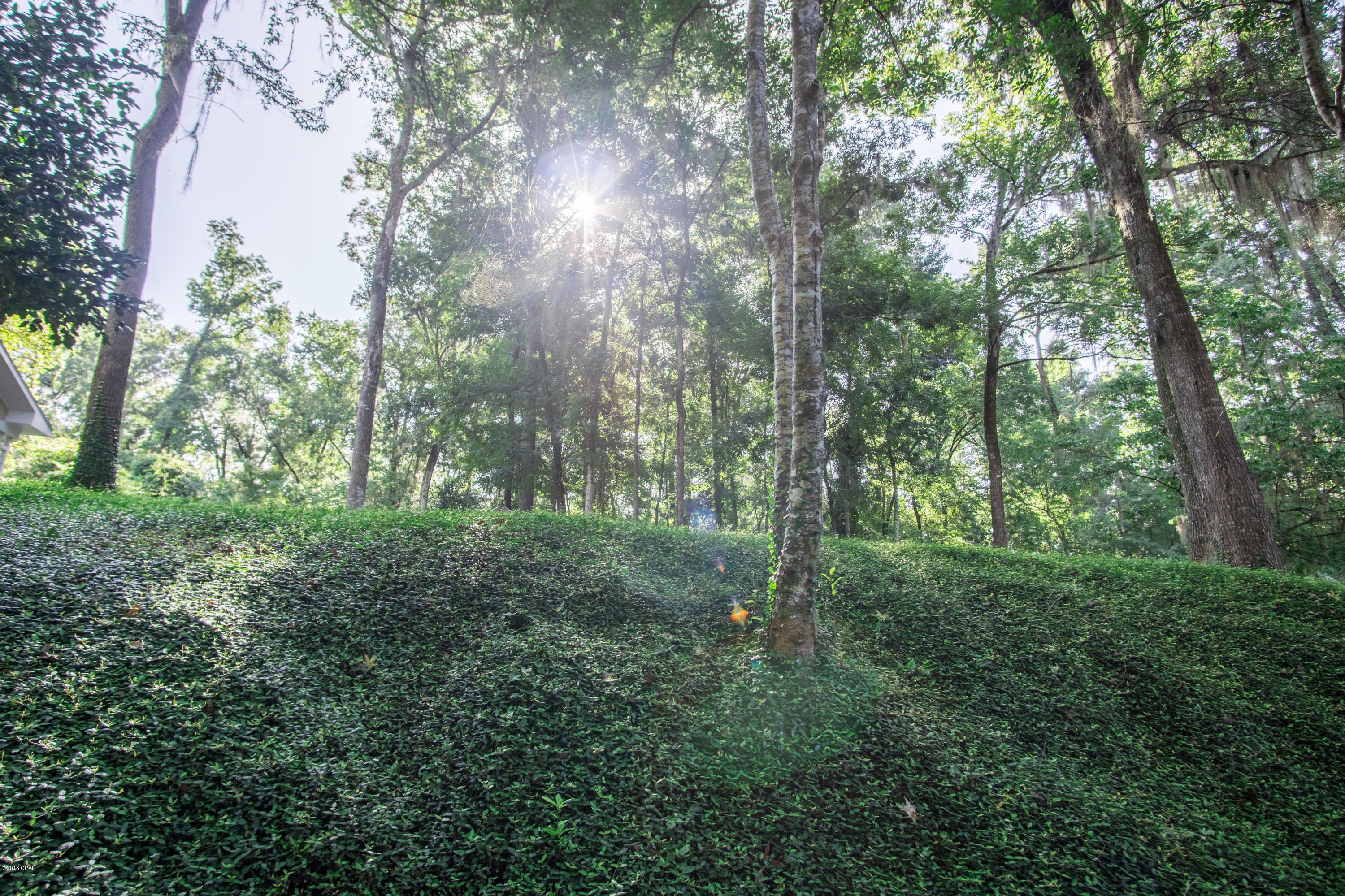 Indian Springs - Residential