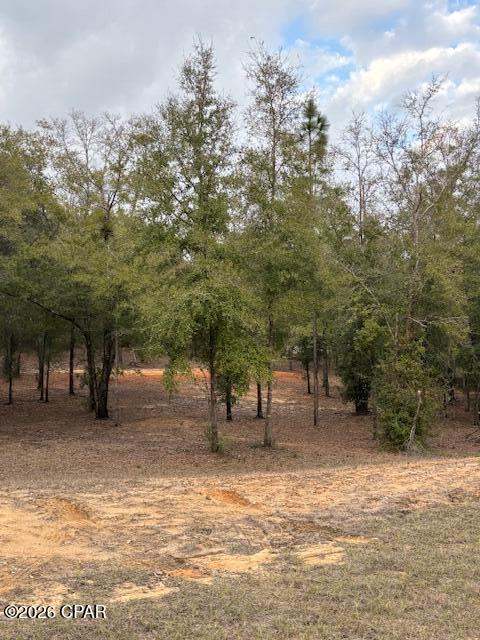 Paradise Lakes - Land