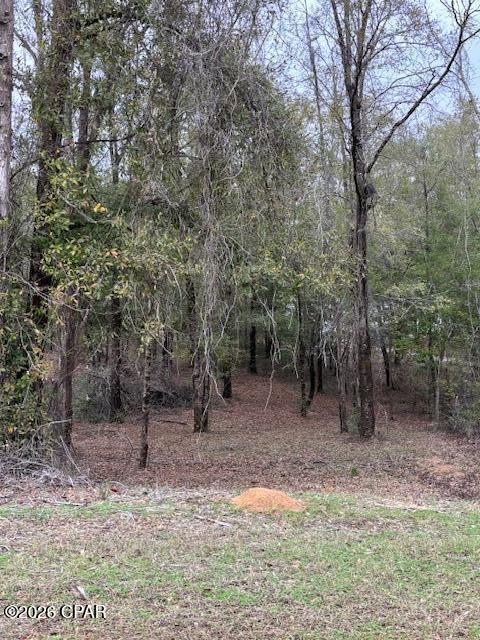 Paradise Lakes - Land