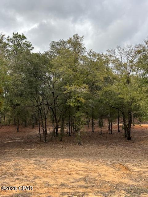 Paradise Lakes - Land