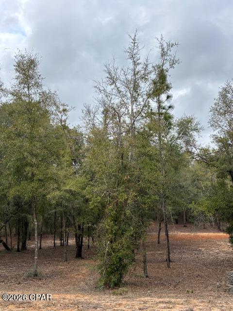 Paradise Lakes - Land