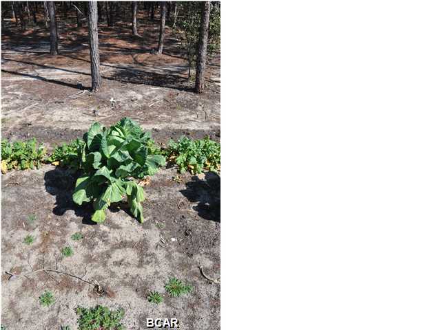 Oakcrest Unit 1 - Residential