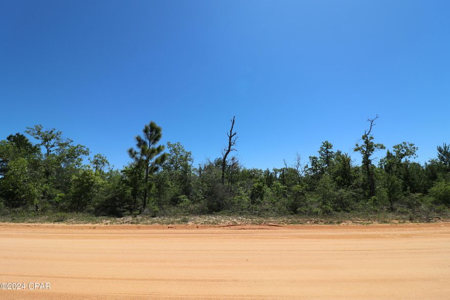 If you're looking for a Beautiful Country setting lot to build your Dream Home on, This Is It! Located in Silver Lake, this gorgeous 5.37 acre lot has all the natural trees and foliage indigenous to NW Florida. Silver Lake offers access to the main lake, Silver Lake, only to owners and their guests via a recreational parcel, which is just minutes from this lot! With access to an estimated 321 acre Beautiful Spring-Fed, crystal clear lake the amount of enjoyment is endless! Enjoy swimming, boating, kayaking, fishing, paddle boarding or even sailing! This lake does not allow any gas powered motors so the lake is pristine! All the serenity and beauty this area has to offer and NO HOA!! Location is within a short driving distance to Marianna as well as Panama City & Panama City Beach! Don't wait, call you favorite Realtor today and go see this beautiful lot! Thank you for considering this property. All information should be verified by buyer or buyer's agent.