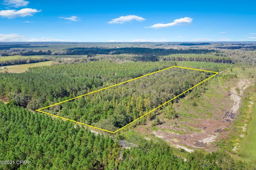 The possibilities are endless with this 9 acre parcel.  This land is located just off a paved road.  Would be a great place to getaway, or even for your dream home.  Per flood maps, property is in 100% X and is high and dry!