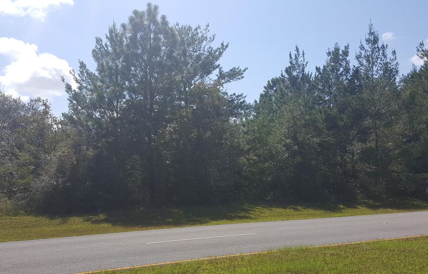 Nice building lot on Sunny Hills Blvd. Mostly wooded interior lot on the main road in Sunny Hills. Sunny Hills is a deed restricted subdivision for homes only, no mobile homes. Not far from Boat Lake that offers seasonal swimming, covered pavilion great for BBQ's and family get togethers. Several fishing spots in the area, approx. 35- 40 miles from Panama City, Pier Park shopping and NW Florida Beaches International Airport.