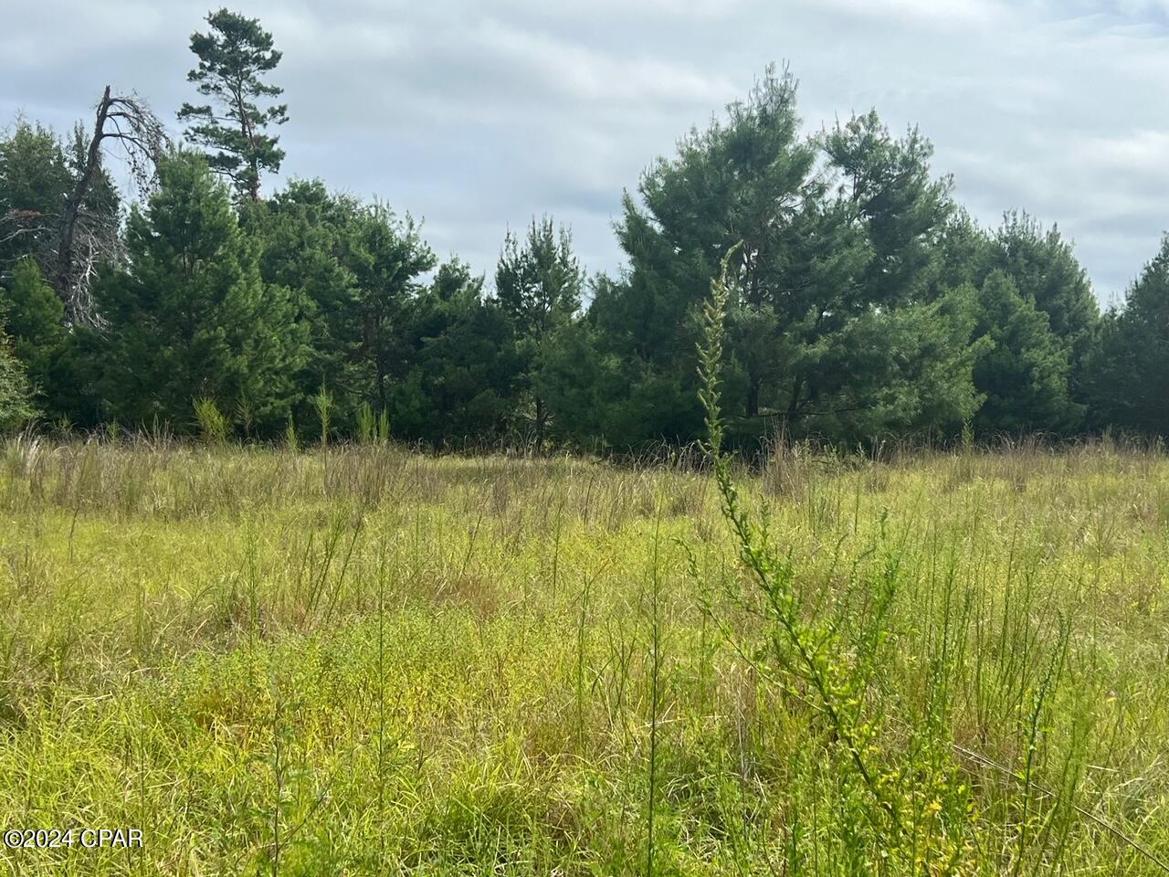 [No Recorded Subdiv] - Land