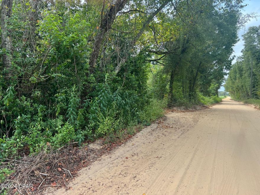 Nice 4.98 acres partially cleared, with well & septic on Concord Road (dirt). Electric is not hooked up. Buyer will have to have well & septic checked to see if operable at buyer's expense. One 2 mile's to Neals Landing on the Chattahoochee River & Lake Seminole. Property is unrestricted. Mobile Homes & RV's allowed.