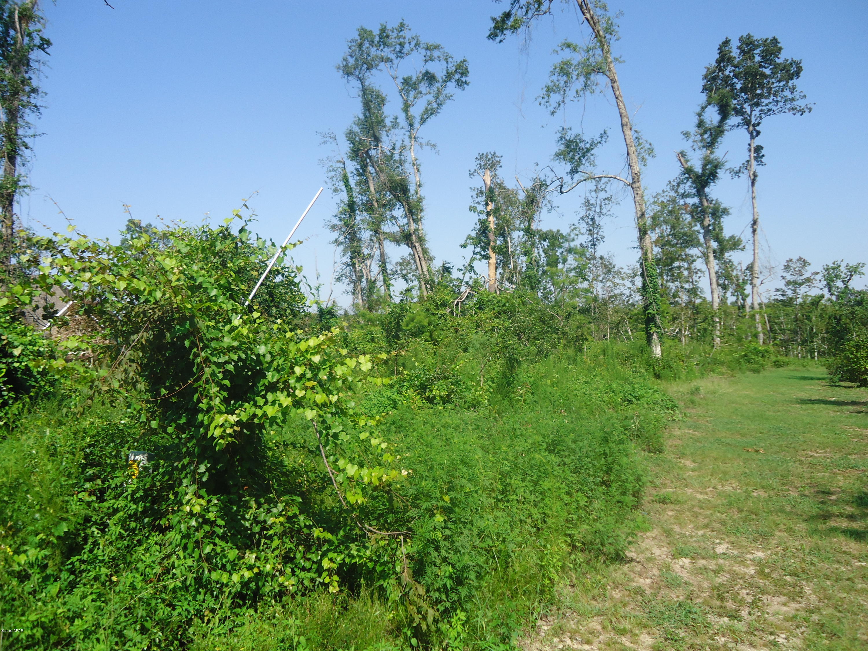 Indian Springs - Land