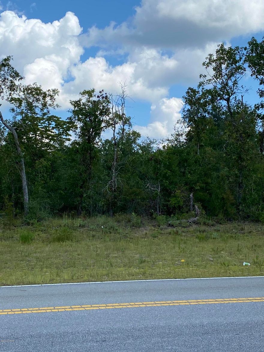 Hugh opportunity!  35+ acres in Sunny Hills.

This property sits on the corner of Deltona and Washington Blvd.  Owner is extremely motivated.  Great investment for the right person.