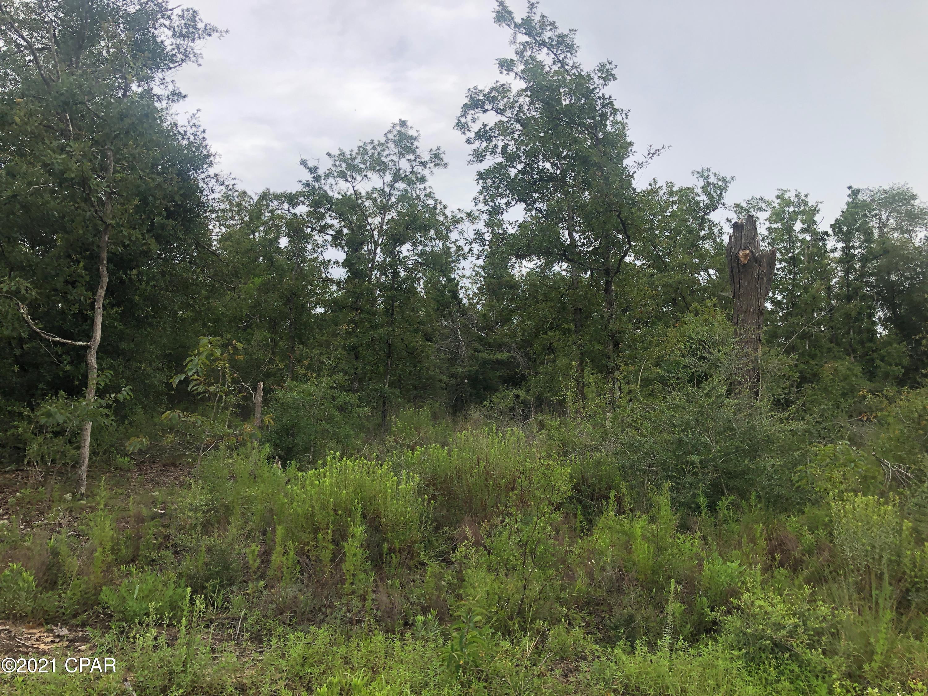 No Named Subdivision - Land