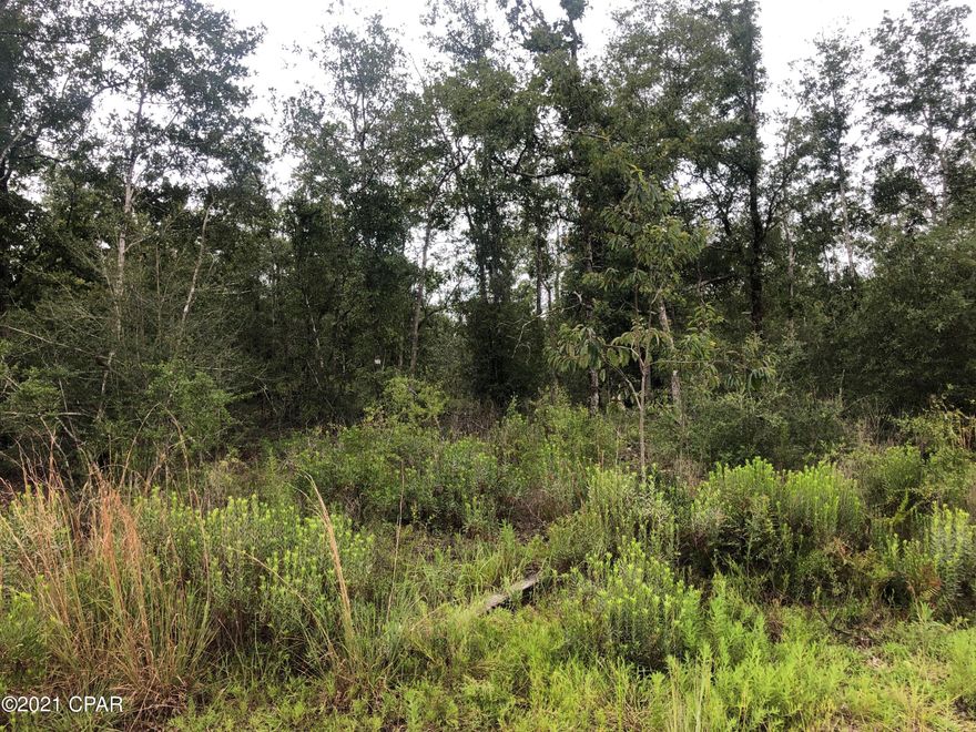 If you are looking for privacy, you will love this 20 acres!  This land is mostly high and dry.  Would make a wonderful home site and a place for your animals.  Lots of wildlife for the hunter!  An hour to Panama City, FL or Dothan, AL