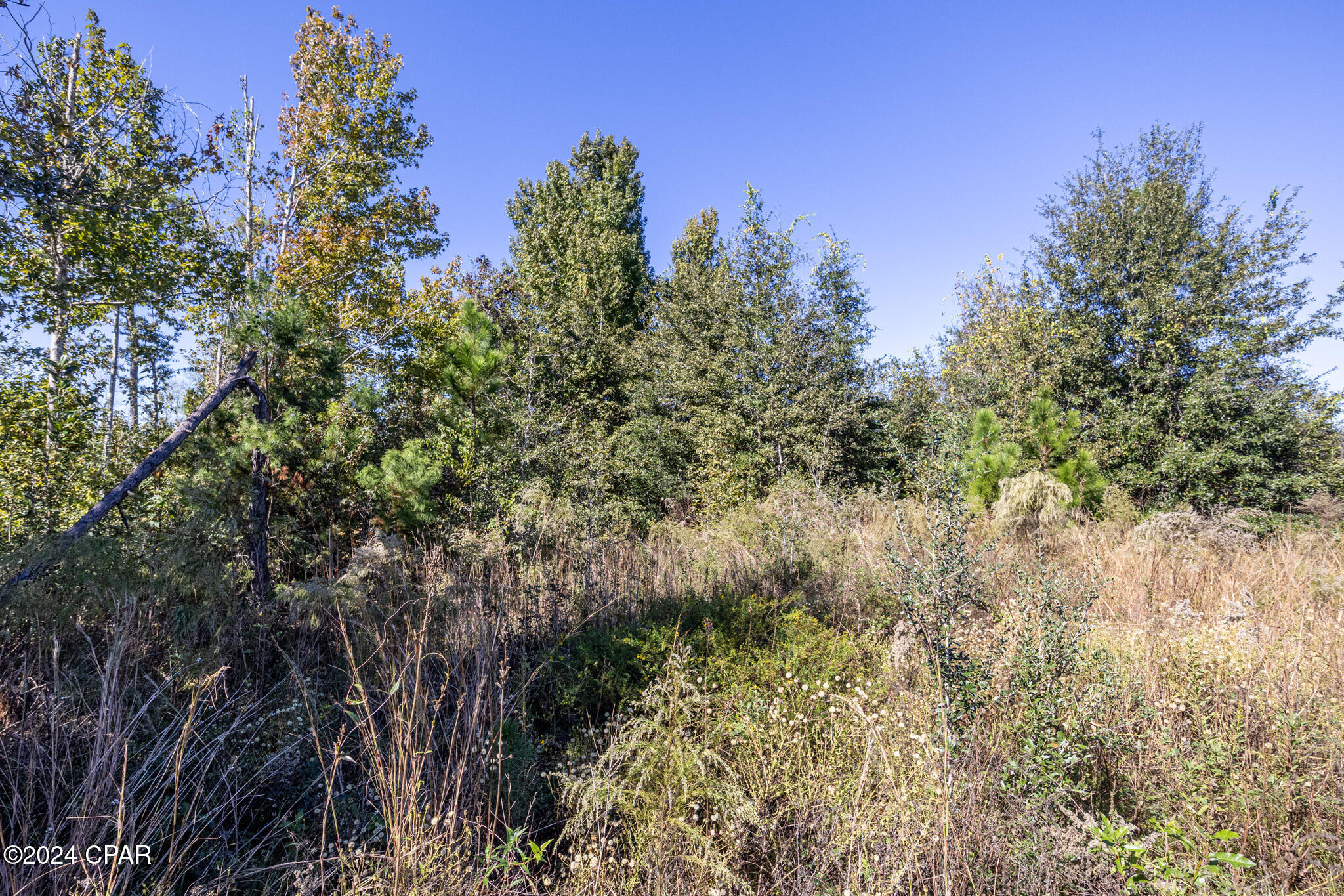 Basswood Estates - Land