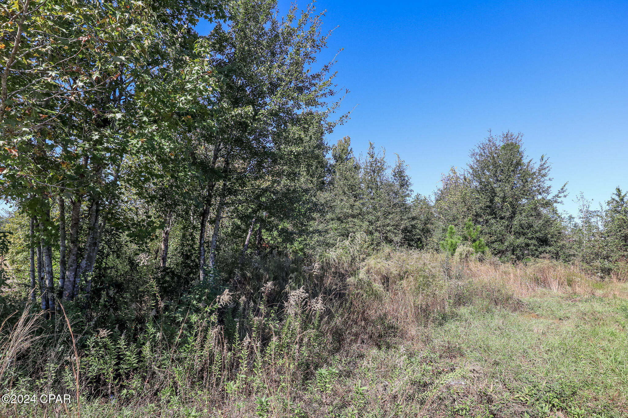 Basswood Estates - Land