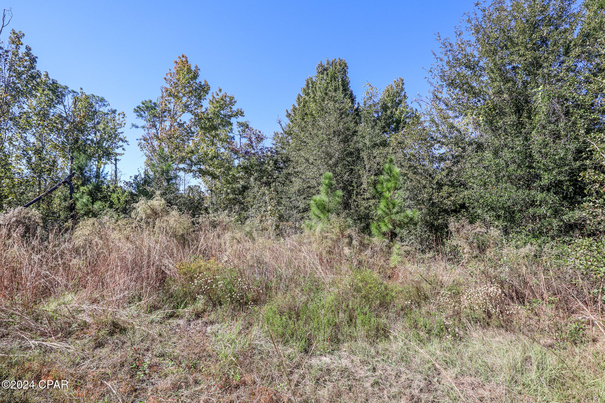 Basswood Estates - Land