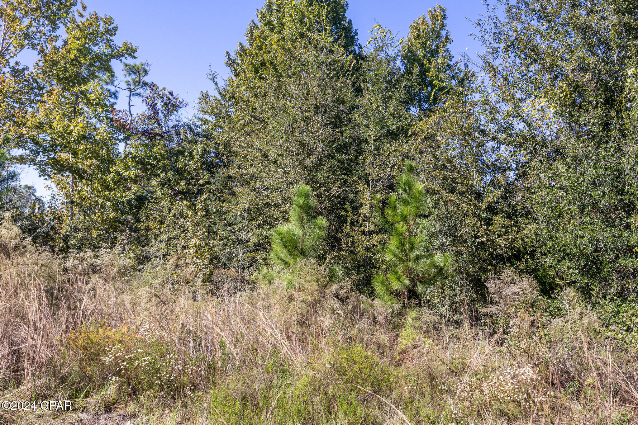 Basswood Estates - Land