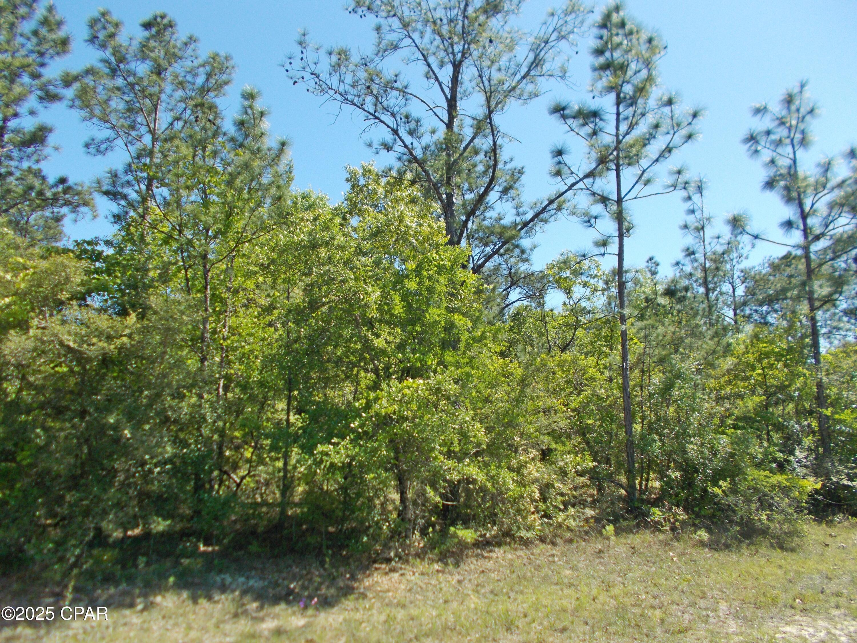 Sunny Hills Unit 7 - Land